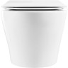 Подвесной безободковый унитаз BELBAGNO ACQUA BB340CHR